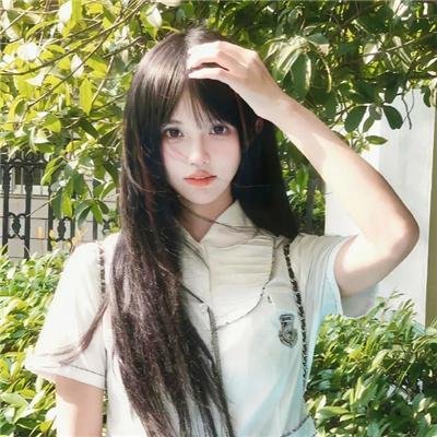 动物界